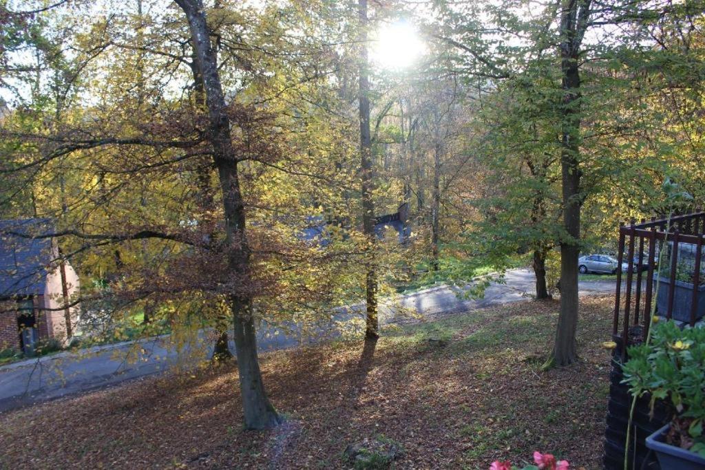 Gezellige Chalet Met Groot Zonneterras In Domaine Du Bonsoy - Vernieuwd In 2024 布莱蒙 外观 照片